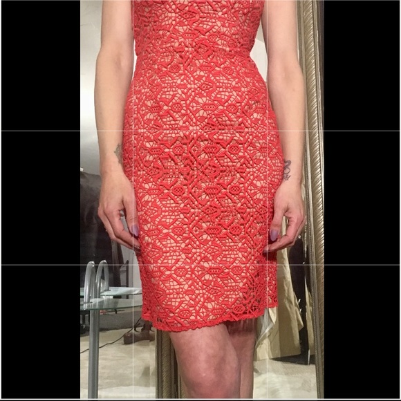 SALE‼️Alice by Temperley Lace BodyCon- Nude Mesh - Picture 3 of 7